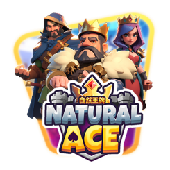 大自然王牌