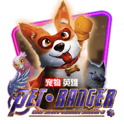 寵物 英雄