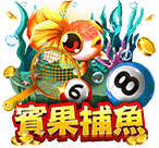 賓果捕魚